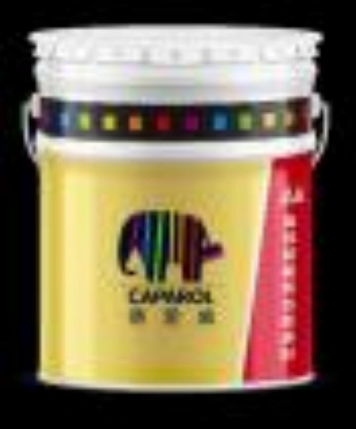 Interior wall latex paint
